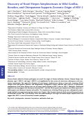 Cover page: Discovery of novel herpes simplexviruses in wild gorillas, bonobos, and chimpanzees supports zoonotic origin of HSV-2