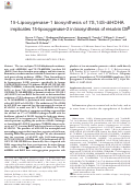 Cover page: 15-Lipoxygenase-1 biosynthesis of 7S,14S-diHDHA implicates 15-lipoxygenase-2 in biosynthesis of resolvin D5.