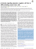 Cover page: β-Catenin signaling dynamics regulate cell fate in differentiating neural stem cells