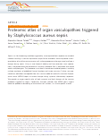 Cover page: Proteomic atlas of organ vasculopathies triggered by Staphylococcus aureus sepsis