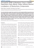 Cover page: Drosophila CENP-A Mutations Cause a BubR1- Dependent Early Mitotic Delay without Normal Localization of Kinetochore Components