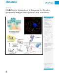 Cover page: GIV•Kindlin Interaction Is Required for Kindlin-Mediated Integrin Recognition and Activation