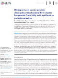 Cover page: Divergent acyl carrier protein decouples mitochondrial Fe-S cluster biogenesis from fatty acid synthesis in malaria parasites