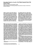 Cover page: Mammalian myosin I alpha, I beta, and I gamma: new widely expressed genes of the myosin I family.