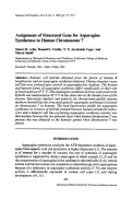 Cover page: Assignment of structural gene for asparagine synthetase to human chromosome 7