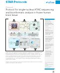 Cover page: Protocol for single-nucleus ATAC sequencing and bioinformatic analysis in frozen human brain tissue.