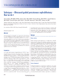 Cover page: Techniques - Ultrasound-guided percutaneous nephrolithotomy: How we do it.