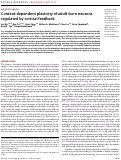 Cover page: Context-dependent plasticity of adult-born neurons regulated by cortical feedback