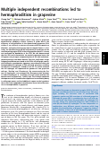 Cover page: Multiple independent recombinations led to hermaphroditism in grapevine