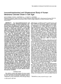 Cover page: Immunohistochemical and ultrastructural study of human melanoma colonies grown in soft agar.