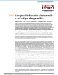 Cover page: Complex life histories discovered in a critically endangered fish
