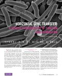 Cover page: Horizontal Gene Transfer: A Genetic Choreography of Function and Composition