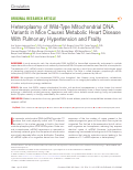 Cover page: Heteroplasmy of Wild-Type Mitochondrial DNA Variants in Mice Causes Metabolic Heart Disease With Pulmonary Hypertension and Frailty
