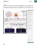 Cover page: RNAs as Proximity-Labeling Media for Identifying Nuclear Speckle Positions Relative to the Genome