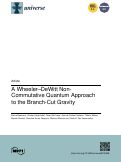 Cover page: A Wheeler–DeWitt Non-Commutative Quantum Approach to the Branch-Cut Gravity