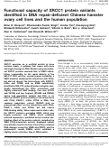 Cover page: Functional capacity of XRCC1 protein variants identified in DNA repair-deficient Chinese hamster ovary cell lines and the human population