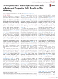 Cover page: Overexpression of Transcription Factor Ovol2 in Epidermal Progenitor Cells Results in Skin Blistering