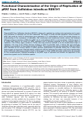 Cover page: Functional Characterization of the Origin of Replication of pRN1 from Sulfolobus islandicus REN1H1