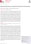 Cover page: Bacterial interactions on nutrient-rich surfaces in the gut lumen.