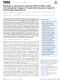 Cover page: Bisphenol A replacement chemicals, BPF and BPS, induce protumorigenic changes in human mammary gland organoid morphology and proteome