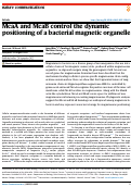 Cover page: McaA and McaB control the dynamic positioning of a bacterial magnetic organelle