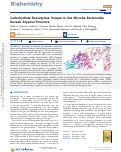 Cover page of Carbohydrate Deacetylase Unique to Gut Microbe Bacteroides Reveals Atypical Structure