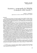 Cover page: Faunistica e zoogeografia dei Meloidae (Coleoptera) della Somalia