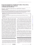 Cover page: Proteolytic Regulation of Epithelial Sodium Channels by Urokinase Plasminogen Activator CUTTING EDGE AND CLEAVAGE SITES*