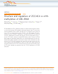 Cover page: Structure and regulation of ZCCHC4 in m6A-methylation of 28S rRNA