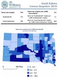 Cover page of South Dakota Census Snapshot: 2010