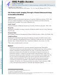 Cover page: 3-D Protoacoustic Imaging Through a Planar Ultrasound Array: A Simulation Workflow