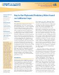 Cover page of Key to the Phytoseiid Predatory Mites Found on California Crops