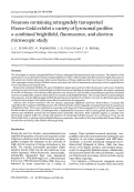 Cover page: Neurons containing retrogradely transported Fluoro-Gold exhibit a variety of lysosomal profiles: A combined brightfield, fluorescence, and electron microscopic study