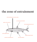 Cover page: The Zone of Entrainment