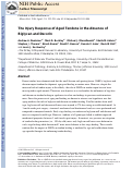 Cover page: The injury response of aged tendons in the absence of biglycan and decorin