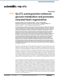 Cover page: GLUT1 overexpression enhances glucose metabolism and promotes neonatal heart regeneration