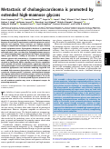 Cover page: Metastasis of cholangiocarcinoma is promoted by extended high-mannose glycans