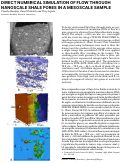 Cover page: Direct Numerical Simulation of Flowthrough Nanoscale Shale Pores In a Mesoscale Sample