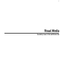 Cover page: Visual Media