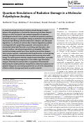 Cover page: Quantum Simulations of Radiation Damage in a Molecular Polyethylene Analog.