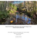 Cover page of Redwood Creek Restoration at the Banducci Site: Geomorphic Changes on Lower Redwood Creek from 2003 to 2022