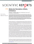 Cover page: Molecular Simulation of MoS<sub>2</sub> Exfoliation.