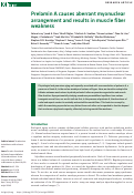 Cover page: Prelamin A causes aberrant myonuclear arrangement and results in muscle fiber weakness