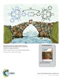 Cover page: Effects of electron transfer on the stability of hydrogen bonds