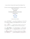 Cover page: The Effects of Elevated Carbon Dioxide Concentrations for the Larval Behavior of White Seabass, <em>Atractoscion nobilis</em>