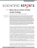 Cover page: Brain size as a driver of avian escape strategy