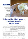 Cover page of Life on the High Seas - the Bug Darwin Never Saw