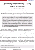 Cover page: Dapper Antagonist of Catenin-1 (Dact1) contributes to dendrite arborization in forebrain cortical interneurons