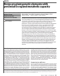 Cover page: Borgs are giant genetic elements with potential to expand metabolic capacity