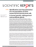 Cover page: Identification and characterization of a rich population of CD34+ mesenchymal stem/stromal cells in human parotid, sublingual and submandibular glands